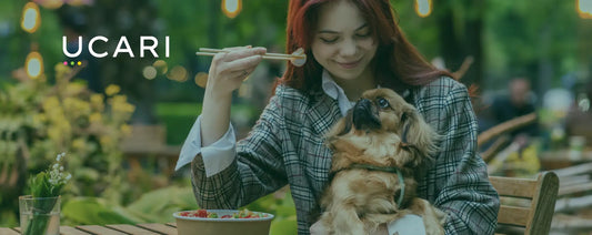 A woman in a plaid jacket is feeding a small dog with chopsticks at an outdoor cafe. She smiles warmly, creating a cheerful and relaxed atmosphere.