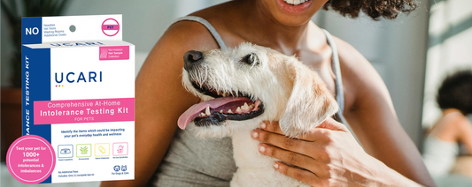 UCARI Comprehensive At-Home Intolerance Testing Kit box in a home setting with a woman and her dog.