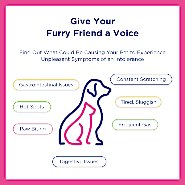 Ucari At-Home Pet Intolerance Test Kit