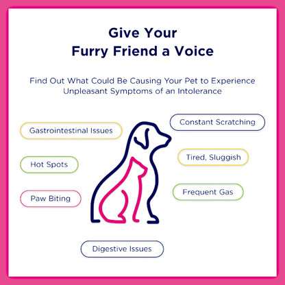 Ucari At-Home Pet Intolerance Test Kit